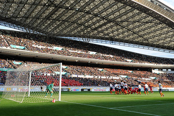 期待和好奇 期待和好奇